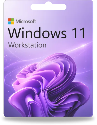 Microsoft Windows 11 Workstation